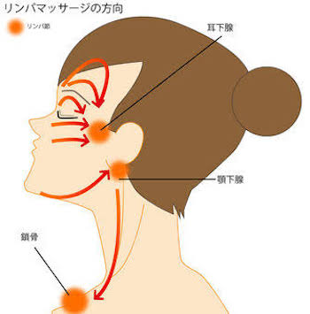 顔にあるリンパ節のマッサージ方法が示されている図表2です
